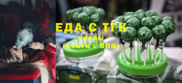 тгк Дмитриев