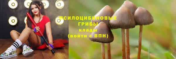 крисы Гусиноозёрск