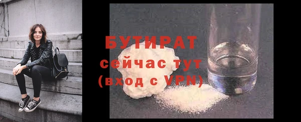 тгк Дмитриев