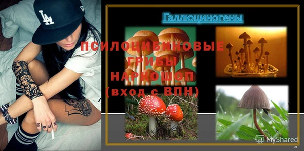 тгк Дмитриев