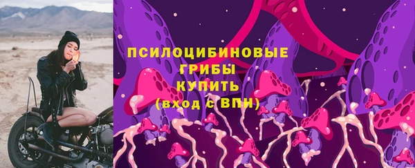мескалин Гусев