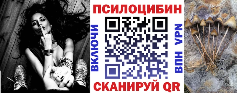как найти   Керчь  Галлюциногенные грибы ЛСД 